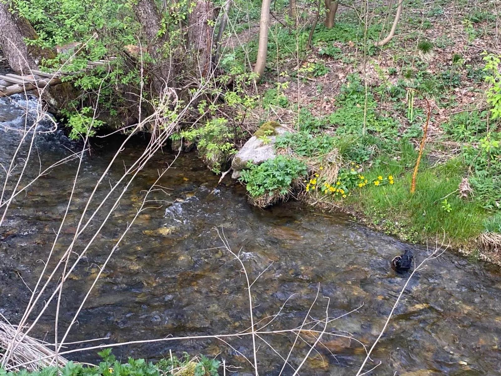 Chata Sedmikraska Malá Morávka Esterno foto
